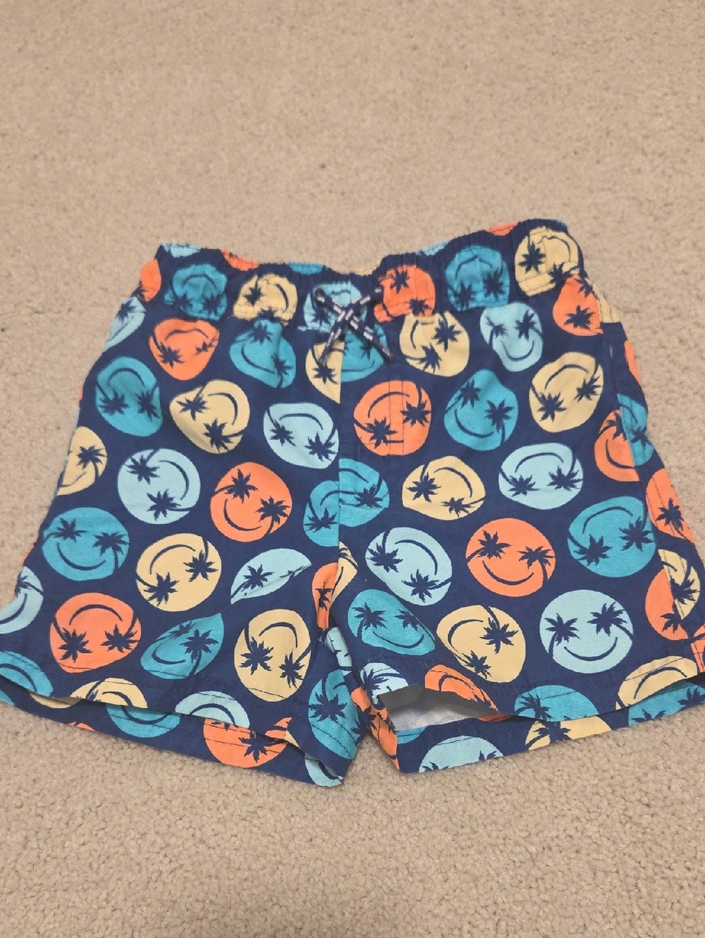 2T Swim Shorts